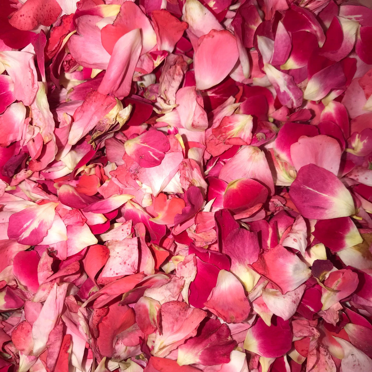 Rosewater/Hibiscus Facial Toner